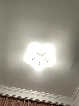 Snapshot of Aimeil chatting on 11-27-25, 07:05 Aimeil online show from 11-27-25, 07:05