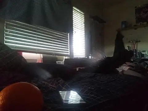 Snapshot of DevinToore chatting on 02-24-26, 06:39 DevinToore online show from 02-24-26, 06:39