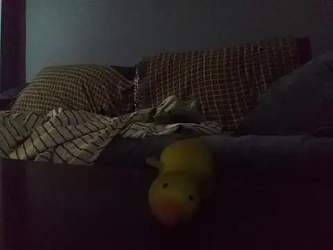 Snapshot of DevinToore chatting on 03-13-26, 03:13 DevinToore online show from 03-13-26, 03:13