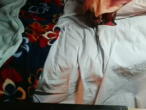 VeneRed online show from 04-18-26, 07:29