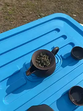 Snapshot of CN-Shanshan chatting on 02-01-26, 04:00 CN-Shanshan online show from 02-01-26, 04:00