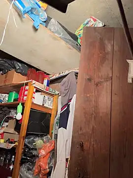 Lecatore80 online show from 10-25-25, 08:22