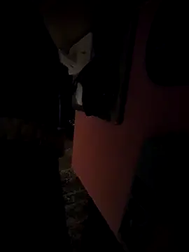 pumapatri online show from 03-11-26, 06:25