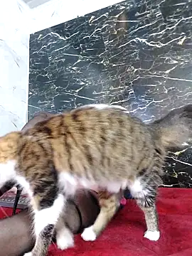 Snapshot of crislingery_dolli chatting on 10-12-25, 01:43 crislingery dolli online show from 10-12-25, 01:43