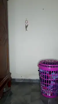 Snapshot of SuranSexy33 chatting on 02-24-25, 05:00 SuranSexy33 online show from 02-24-25, 05:00