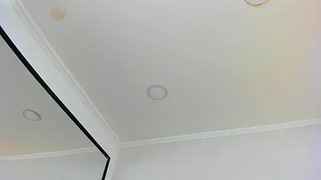 Snapshot of Loggan_donnelly chatting on 03-10-25, 10:55 Loggan donnelly online show from 03-10-25, 10:55