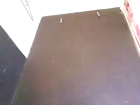 Snapshot of Loggan_donnelly chatting on 10-29-25, 08:32 Loggan donnelly online show from 10-29-25, 08:32