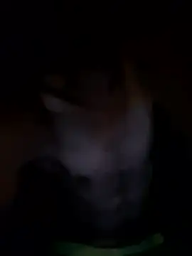 kjs daddy123 online show from 07-03-26, 04:52
