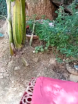 tayson  online show from 01-11-25, 03:20