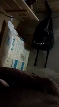 Snapshot of cockringkelley97 chatting on 12-01-24, 04:29 cockringkelley97 online show from 12-01-24, 04:29