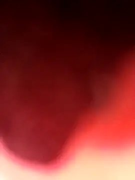 Virgin Pussy Love online show from 08-04-26, 03:58
