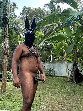 DragonLover 93 online show from 12-01-25, 11:26