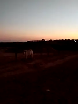 Leocesar37 online show from 09-14-25, 09:36