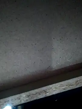 Leocesar37 online show from 11-15-25, 04:54