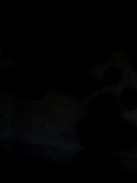 Leocesar37 online show from 06-21-26, 05:43