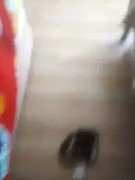 510915asi online show from 12-20-25, 12:01