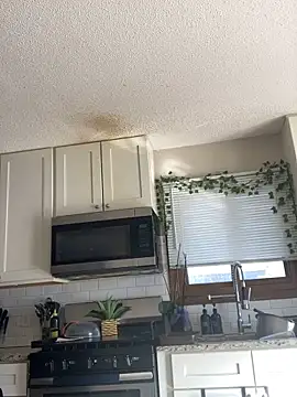 Snapshot of spicysugar74 chatting on 02-06-26, 08:23 spicysugar74 online show from 02-06-26, 08:23