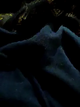 pusssyhub online show from 11-29-25, 11:08