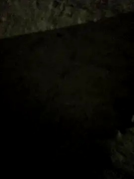 Snapshot of Whiskyboye chatting on 06-10-26, 03:33 Whiskyboye online show from 06-10-26, 03:33