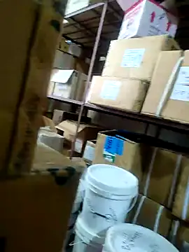 nupa230780 online show from 02-04-26, 09:59