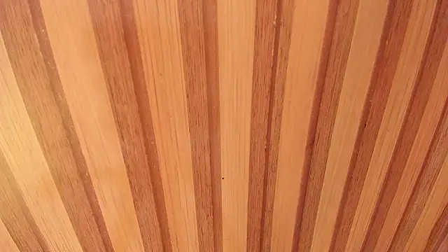 Taylor  cooper online show from 02-12-26, 06:58