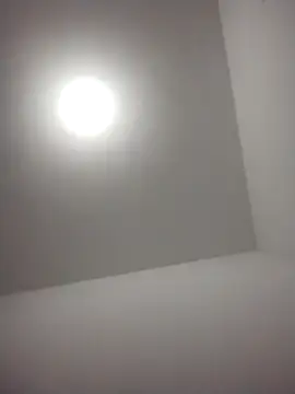 Snapshot of barboza991 chatting on 12-28-24, 11:48 barboza991 online show from 12-28-24, 11:48