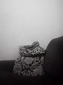 Snapshot of barboza991 chatting on 01-05-25, 01:13 barboza991 online show from 01-05-25, 01:13