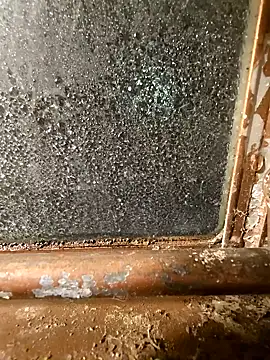 alienbunny online show from 01-11-25, 05:52