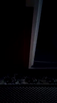 mortikoplqs online show from 12-29-24, 11:07