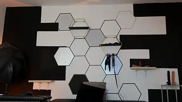 haileycat online show from 02-10-25, 08:20