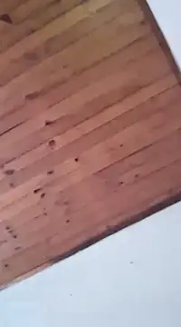 DANIELA MICHEL online show from 01-19-25, 08:41