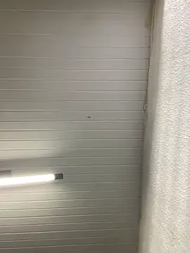 luara1988 online show from 09-27-25, 11:04