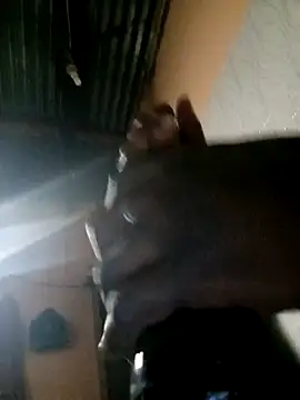 Snapshot of TastyAfrica chatting on 02-10-26, 05:28 TastyAfrica online show from 02-10-26, 05:28