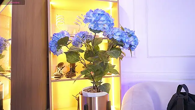 Snapshot of elasummer chatting on 12-20-25, 12:12 elasummer online show from 12-20-25, 12:12