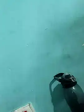 Rani devi88 online show from 02-24-25, 09:43