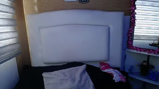 palmer mIix online show from 12-19-24, 08:23