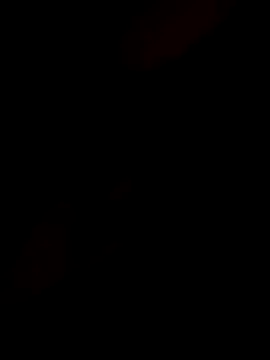 Snapshot of InnocentSupply4 chatting on 11-08-25, 02:45 InnocentSupply4 online show from 11-08-25, 02:45