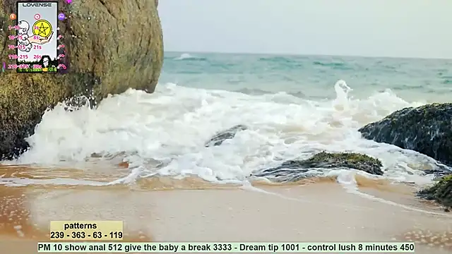  sex in paradise  online show from 12-17-24, 11:59