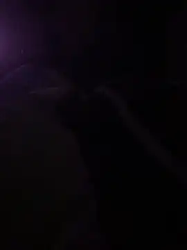 solomec online show from 03-06-25, 10:26