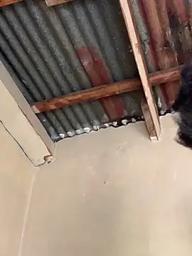 SEXY TOKYOxxx online show from 10-22-25, 06:24