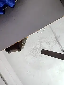 sana14 online show from 12-17-25, 10:49