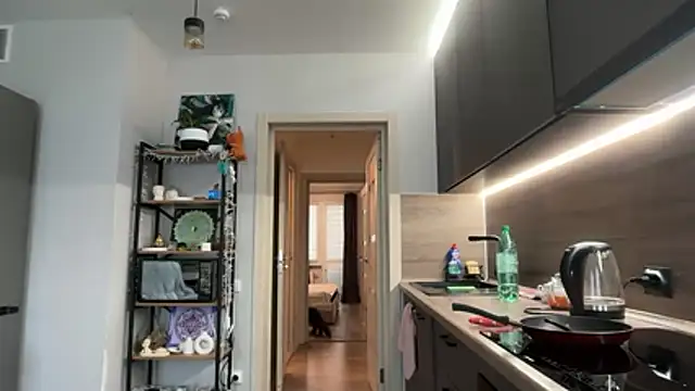 jainesummer online show from 12-04-25, 08:45