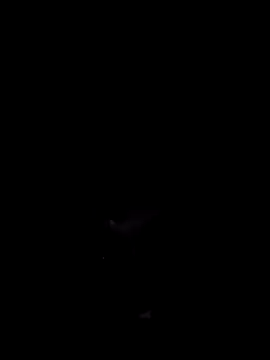 Donstark6669 online show from 01-23-25, 09:50