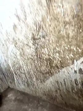 tamil000000 online show from 01-17-26, 10:31