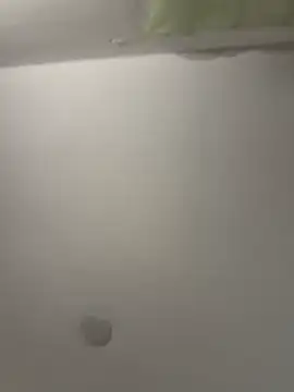 vivicolibri online show from 04-26-26, 04:04