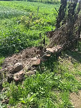 poision51 online show from 02-23-25, 07:55