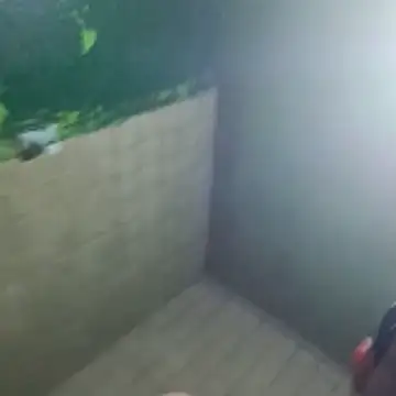 Snapshot of gerinwatch chatting on 03-10-26, 02:00 gerinwatch online show from 03-10-26, 02:00