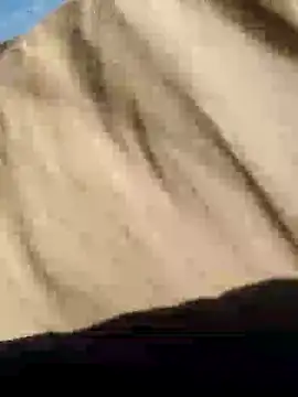 CptDickX258 online show from 01-12-25, 05:22