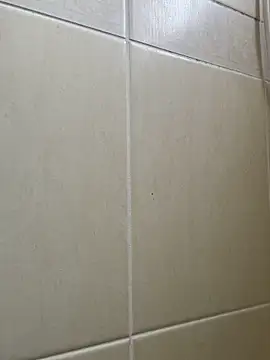 Majorcumlive online show from 06-13-26, 11:30