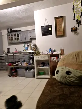 Snapshot of abdierkader chatting on 11-12-25, 09:03 abdierkader online show from 11-12-25, 09:03